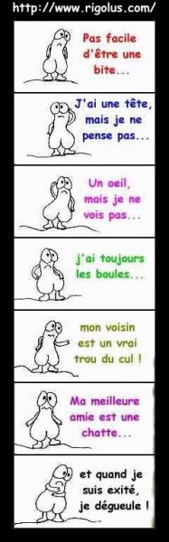 La vie d'une bite