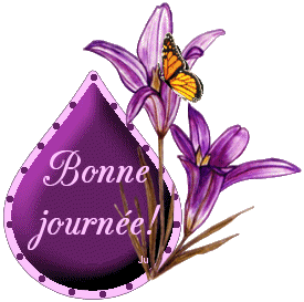 Bonne journee