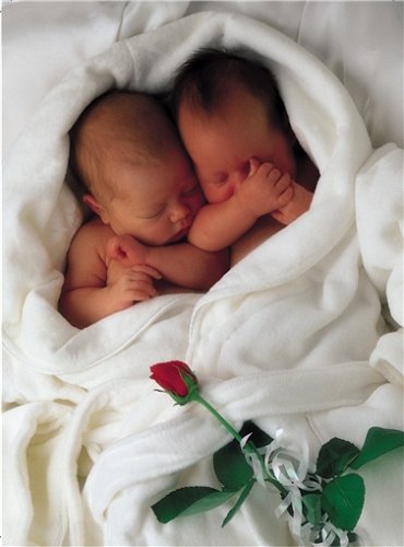 Anne Geddes