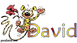 David