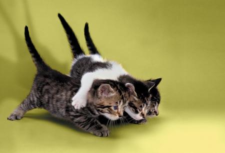 allez, 1, 2, et 3................